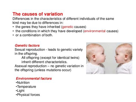 Common cause variation is introduced by the variation present in people, information systems, machines/equipment, measurement, materials and environment. Genetic variation and inheritance