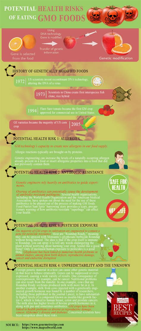 Potential Health Risks Of Eating Gmo Foods Visually