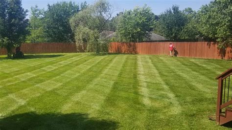 Fertilization And Weed Control Services In Columbia Mo Mcvey Mowing
