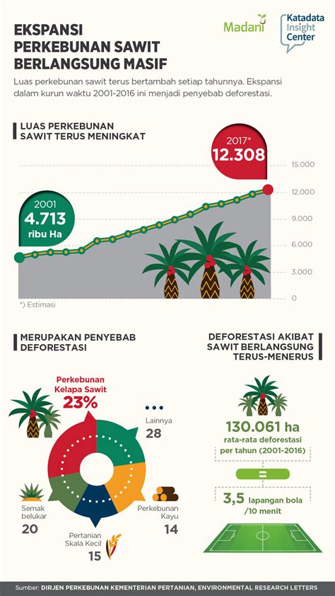 Jumlah Perkebunan Sawit Di Indonesia IMAGESEE