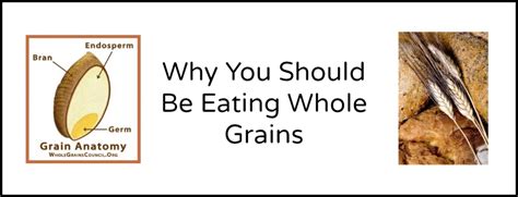 Why You Should Be Eating Whole Grains Nutritious Eats