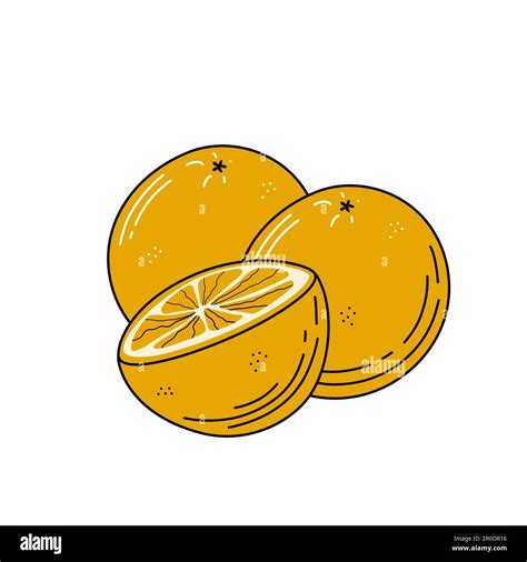 Oranges Fruits Sketch Vector Hand Drawn Illustration Stock Vector