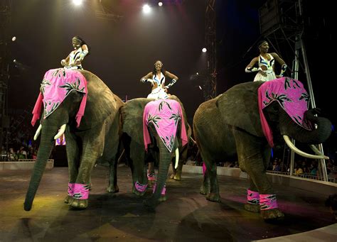 Circus Sues Nyc Over Performance Permits