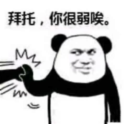 Chinese Panda Memes Biaoqing Panda Head Chinese Panda Reaction