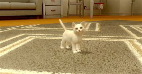 We did not find results for: รีวิว with My CAT เกมมือถือน่ารักฮีลใจสำหรับเหล่าทาสแมว!