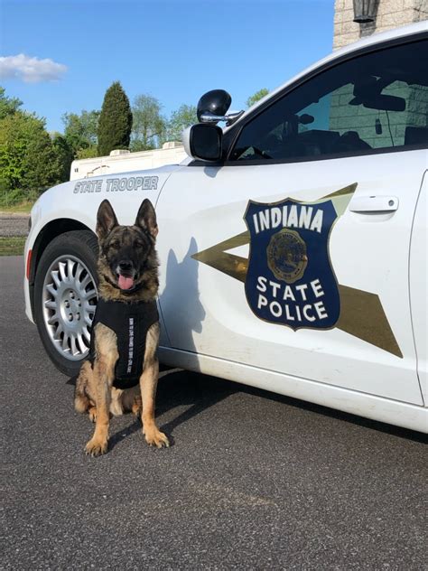 Indiana State Police K9s Magill And Drogos Receive Donated Body Armor