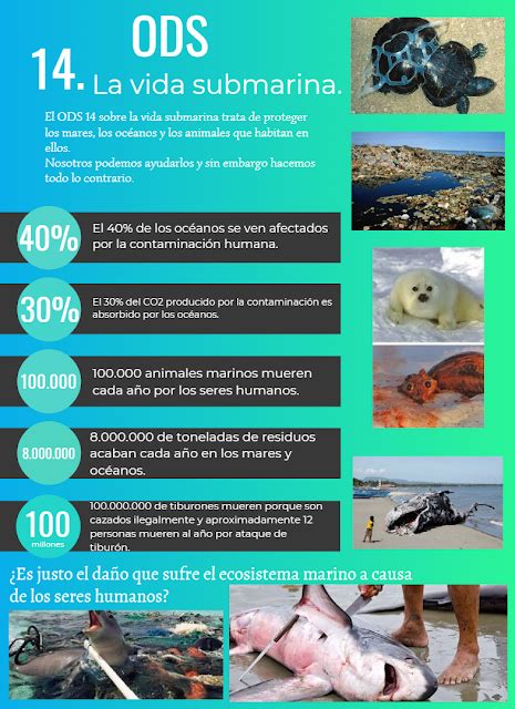 Infografía De La Vida Submarina