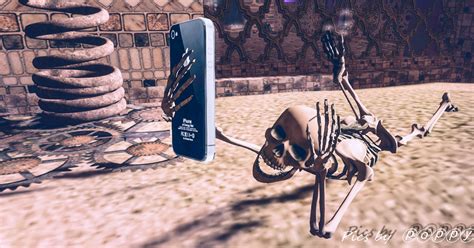 Has this chiefs star bid farewell to the club. Fantasy Faire 2017 | Taken at FF 2017 in SL | Poppys ...