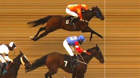 Racing News 2021 Chelmsford Dead Heat Photo Finish Crazy Spin Anniemation Au