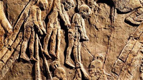 King Sennacherib And The Siege Of Lachish Aish Com