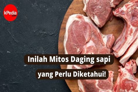 Inilah Mitos Tentang Daging Sapi Yang Perlu Diketahui Gaya Hidup My XXX Hot Girl