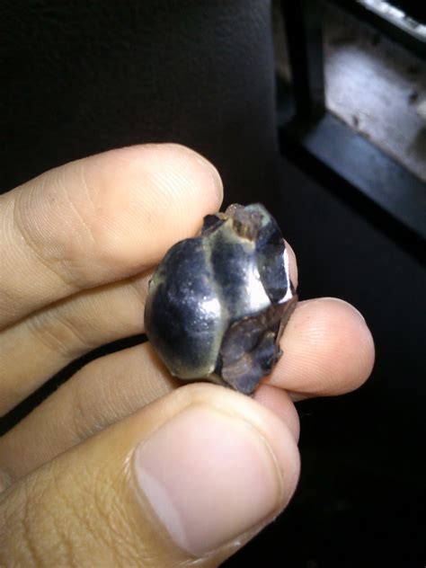 Madu hitam mengandung sejumlah besar nutrisi yang diperlukan untuk kinerja tubuh, tidak seperti gula biasa, yang hanya berisi karbohidrat sederhana berikut artikel mengenai manfaat madu hitam untuk kesehatan. Rahsia Tersimpan: batu petir