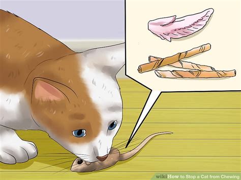 When stopping cats from chewing cords, it's best to hide the cords entirely. 3 Ways to Stop a Cat from Chewing - wikiHow