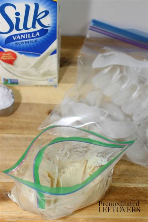 Remember, if you want a truly healthy dessert, you have to make some sacrifices. How to make dairy-free ice-cream in a sandwich bag | Homemade almond milk ice cream, Dairy free ...
