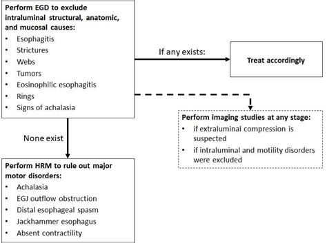 Diagnostic Algorithm In Patients With Symptoms Of Esophageal Dysphagia