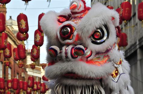 To celebrate, we've added some special chinese anyone born in 2019 will be connected to the year of the pig. Chinese New Year London | Chinese Dragon in London for New ...