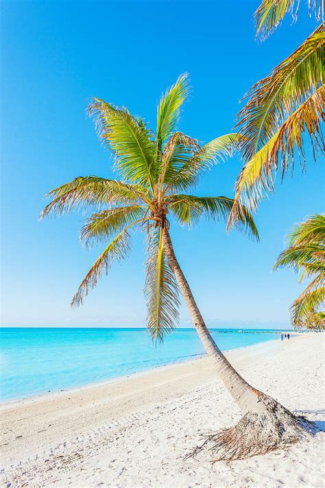 Smathers Beach Key West Florida Usa License Image