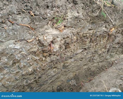Earthworks For Laying Water Pipes And Sewerage Stock Photo Image Of