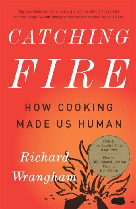 Catching Fire Ebook Richard Wrangham 9780786744787 Boeken Bol