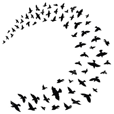 Flock Bird Columbidae Clip Art Silhouette Bird Png Download 737737