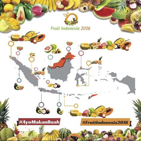 40+ koleski terbaik makanan nusantara. Sekretariat Kabinet Republik Indonesia | Tampilkan Buah ...