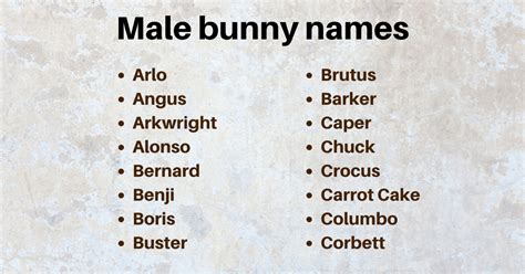 450 Adorably Unique Bunny Names You Ll Love