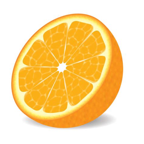 You have completed how to draw an orange step by step. 35+ Delicious Food & Drink Illustrator Tutorials -DesignBump