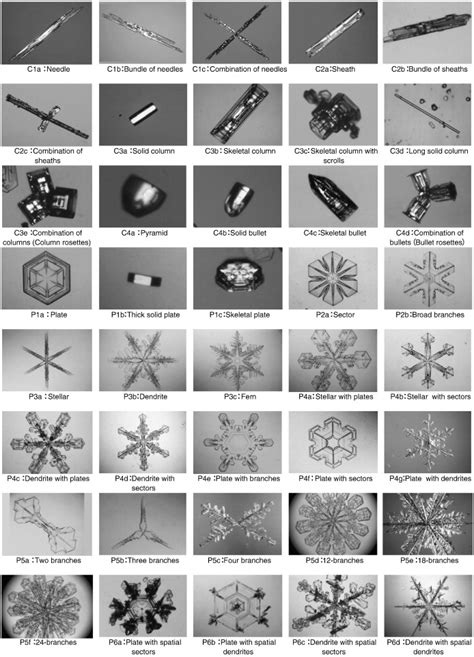 40 Types Of Snowflakes Coolguides