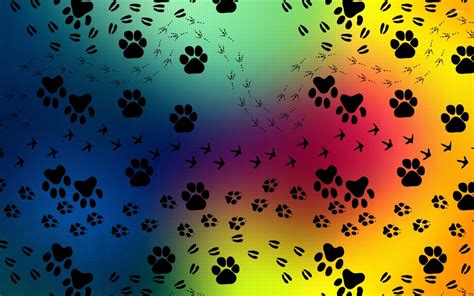 Cat Paw Print Wallpapers Top Free Cat Paw Print Backgrounds