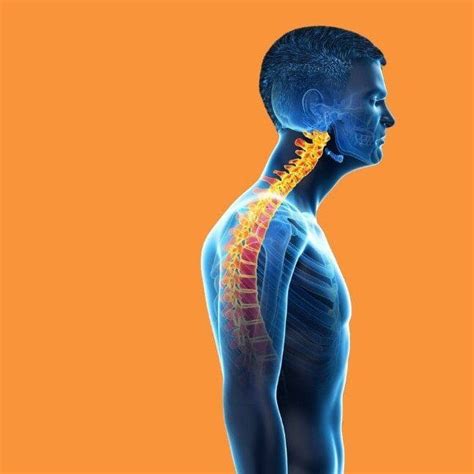 Forward Head Posture Symptoms Causes And Treatments