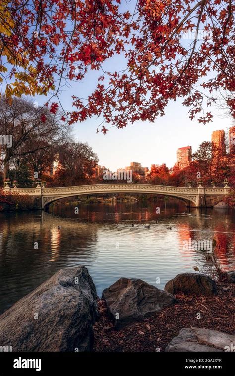 Autumn Coloured Foliage Around Bow Bridge Central Park New York City