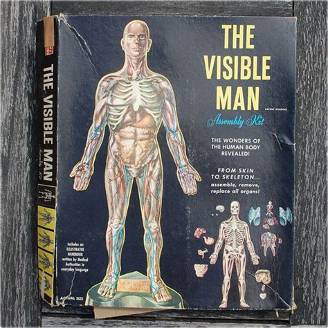 1959 Visible Man Model Assembly Kit By Renwal Anatomy Item Invisible