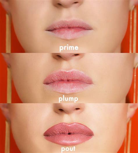 Project Lip Matte Lip Plumping Primer The Beauty Basket