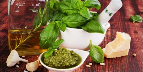 Organic Basil Everything You Need To Know