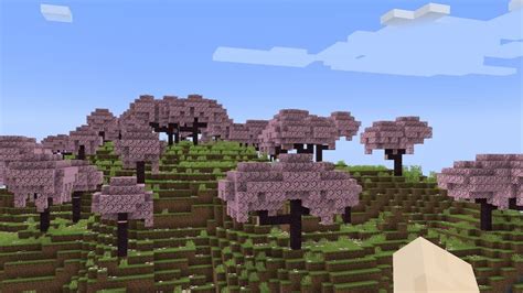 How To Find Cherry Blossom Biome In Minecraft