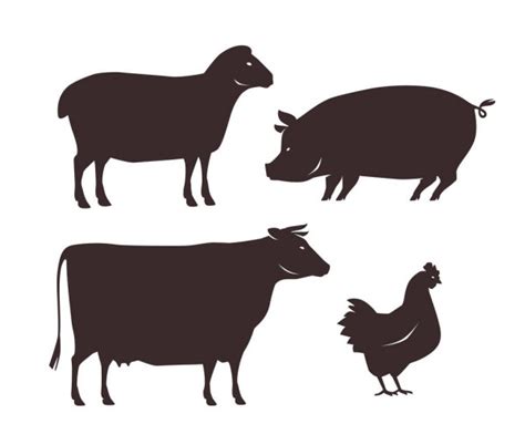 Farm Animals Vector Set Icons Collection Of Silhouettes Such As Horse