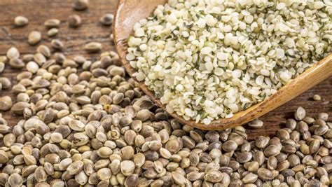 Hemp Seeds Sources Health Benefits Nutrients Uses And Constituents