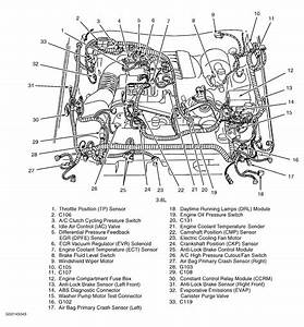 2005 Ford Mustang 4 0 Engine Diagram Wiring Diagram