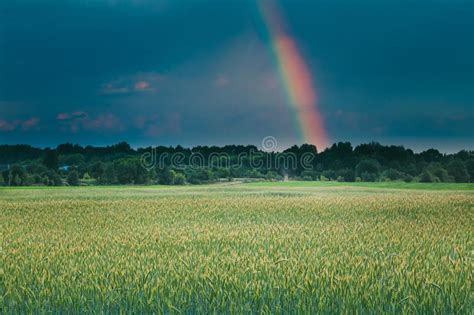 Rainbow In Countryside Rural Field Spring Meadow Landscape