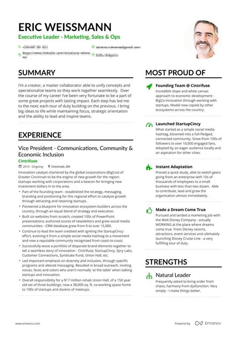 Example Of Professional Background On Resume In 2021 Resume Free