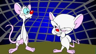 Pinky And The Brain Video Ebaum S World