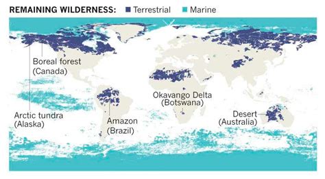 Brasil Est Entre Os Pa Ses Do Mundo Com Natureza Intocada C A E