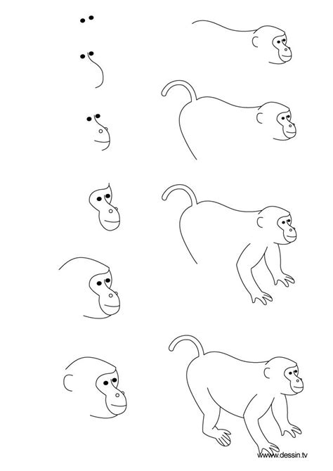 How To Draw An Easy Monkey Step By Step Forest Animals