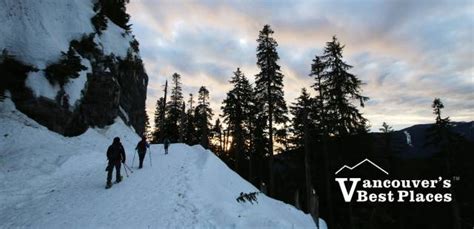 Grouse Mountain Snowshoeing Trails Vancouvers Best Places