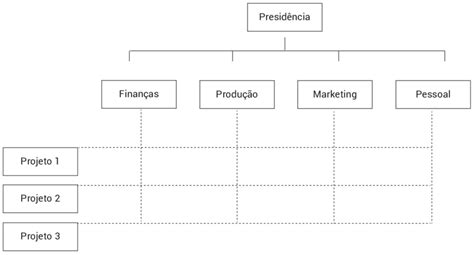 7 Estrutura Organizacional Matricial Download Scientific Diagram