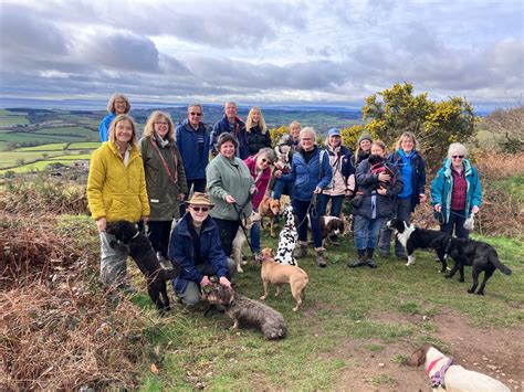 Join Devon's dog lovers and keep your pets’ paws on paths - East Devon