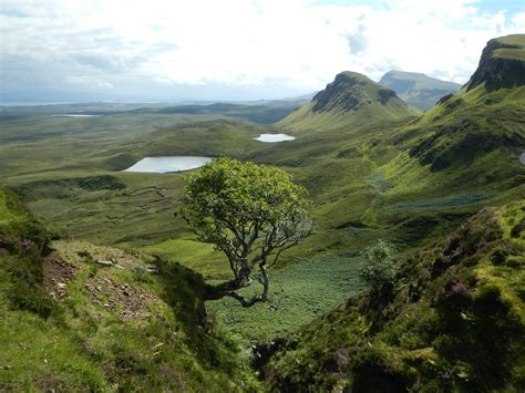 Free Photo Scotland Landscape Meadow Tree Free Image