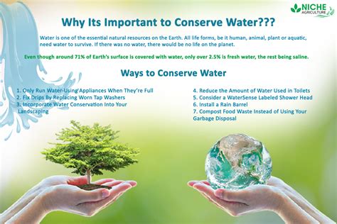examples of water conservation
