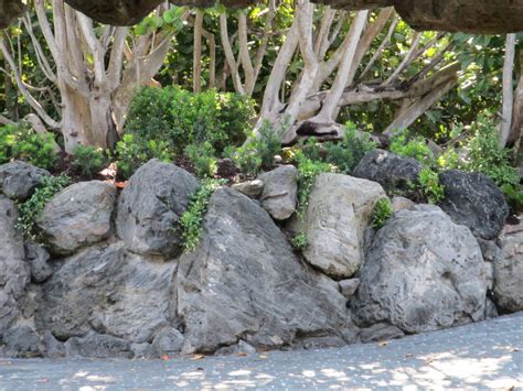 24 Rock Wall Garden Designs Decorating Ideas Design Trends