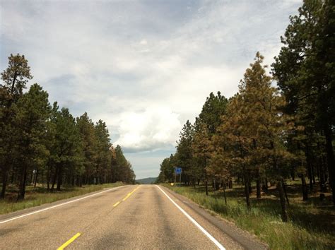 New Mexico State Road 4 to Jemez Falls Campground | Country roads, Road